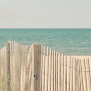 DOANH
