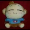 随随又便便