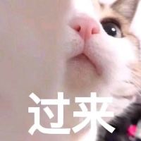 42亿光年外的露西