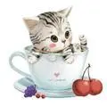 茜利佳