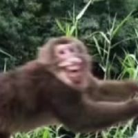 裂暗晨光