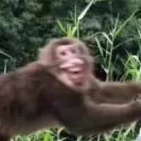 裂暗晨光