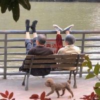 功夫茶分析人生