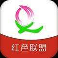 蜜桃小花