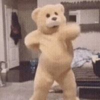 狸花猫的红头绳