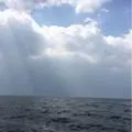 老洛阳