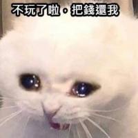 Ollie（盈十）