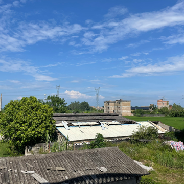 越过山秋