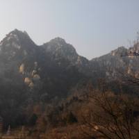 Yang_guolong
