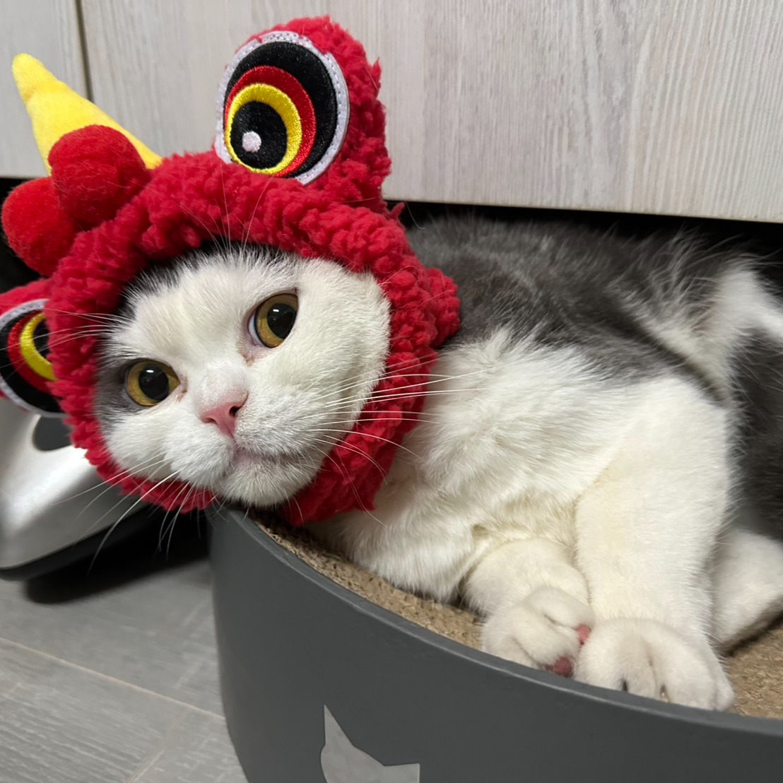 ~金仔~