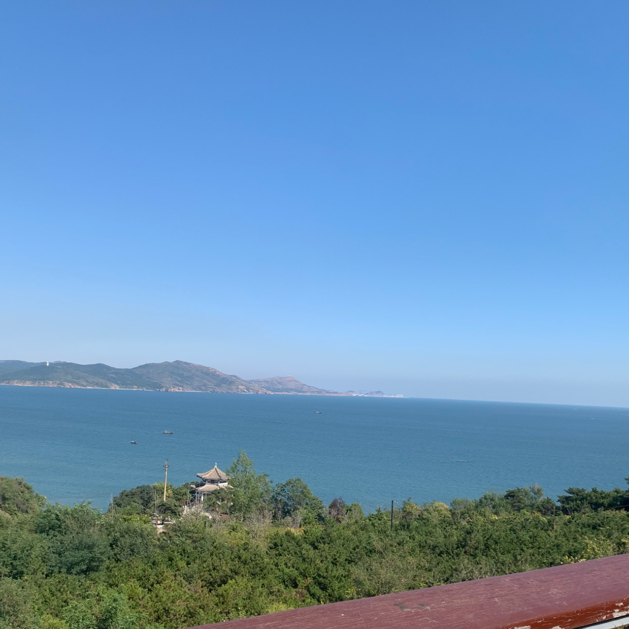 金淼淼