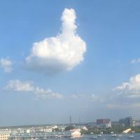 白驹过隙灬