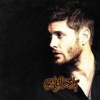 Far_Rabbit42