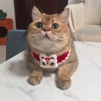 花小生