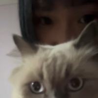 fxgirl_lilyy
