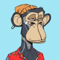 JokoCryptoSolo