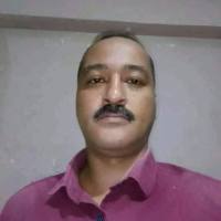 مصطفى Bitter_Year