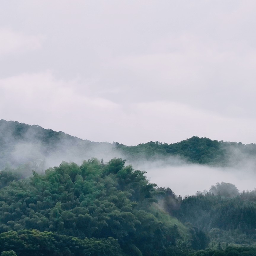 一生有你7972