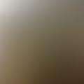 mason_lee_nj