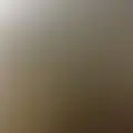 mason_lee_nj