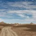蜗牛ai向日葵