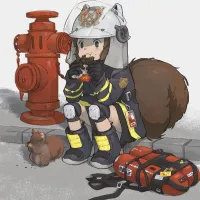 莱茵科技