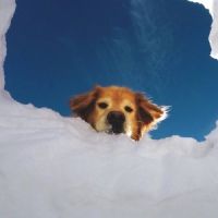 给我一支NA