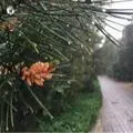 小懒猪44815714