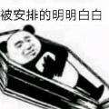 摇了摇头_2342