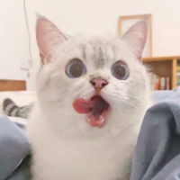 步爱小优酱