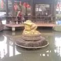 开常口笑