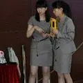 万智