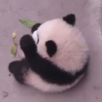 天生战狂扣肉包