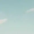 酒酿11