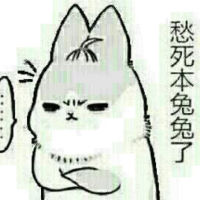 夜空中最亮的芒果