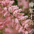 营养理财