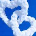 steflove