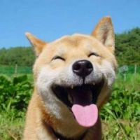 爱你呦t小盆友