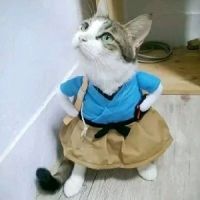 乐乐在哪里