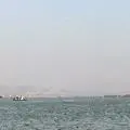 绿野二月风