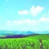 悲伤的赏析