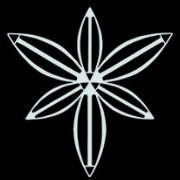 Dendrophylax