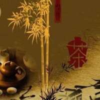 浩皓28757319