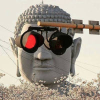 虾仁无惨