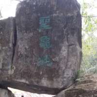 曾畅