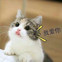 大好時光
