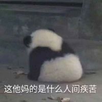 那追寻的地方