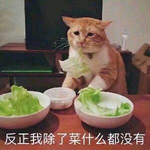 不卖麦丽素