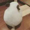 犯二人生