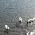 陽光下的沙漏_96498